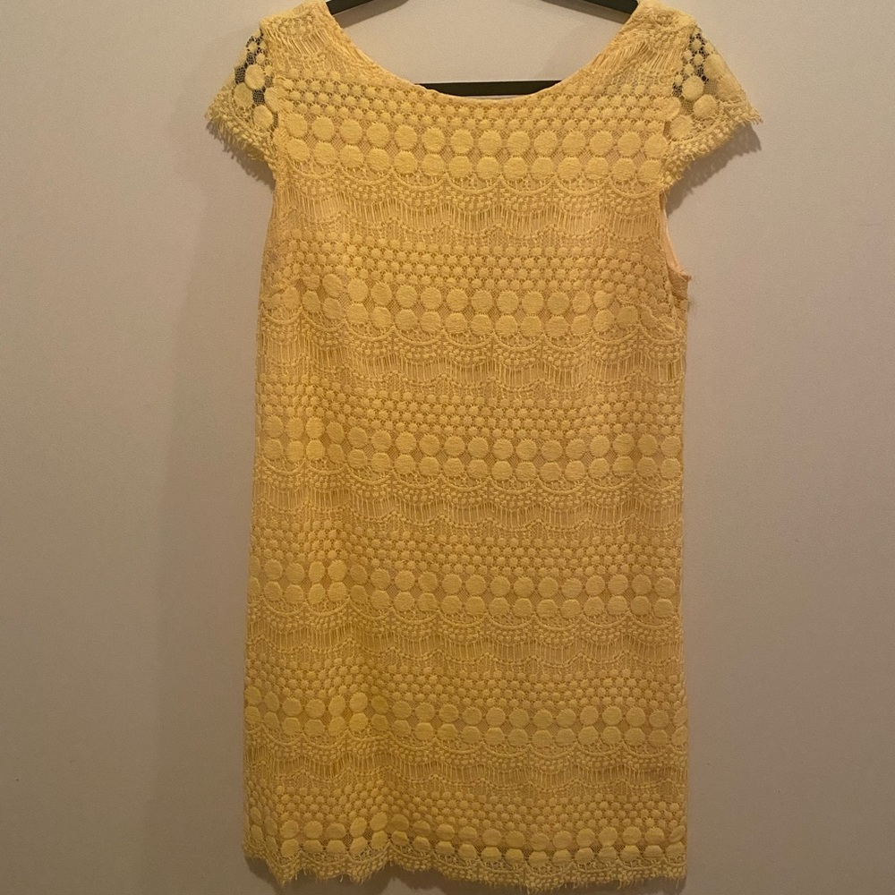 Dress Barn Dress